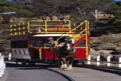 Fleurieau Pferdetrambahn-SA Fleu Granite Island.jpg